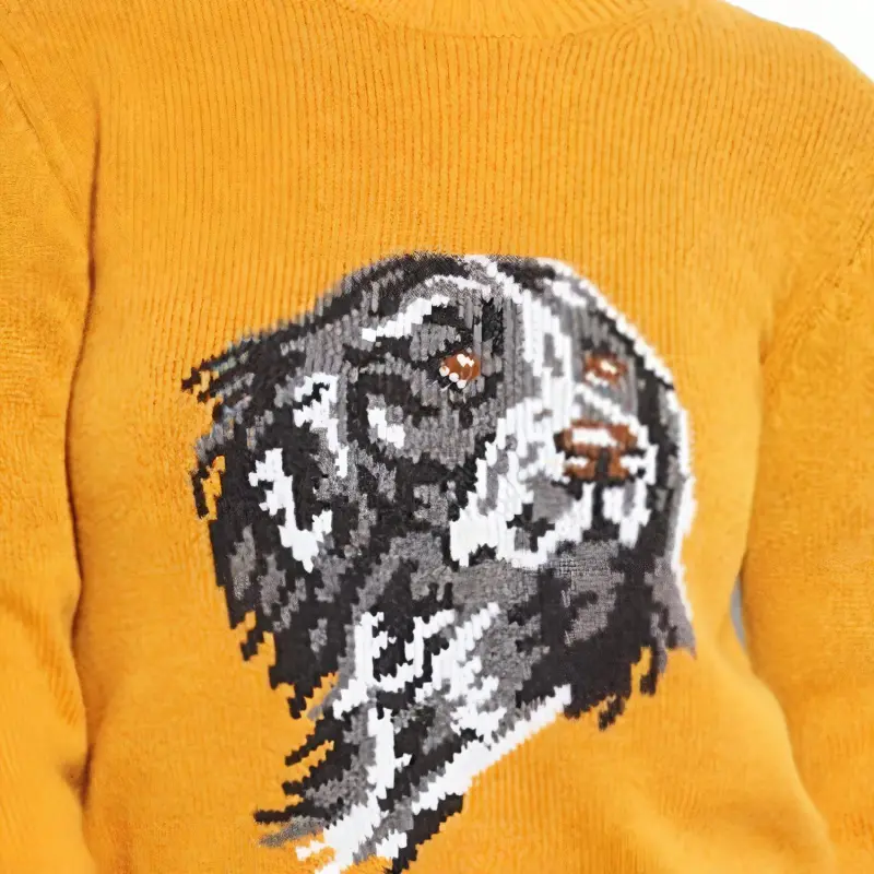COACH Sweaters Women's Yellow-3