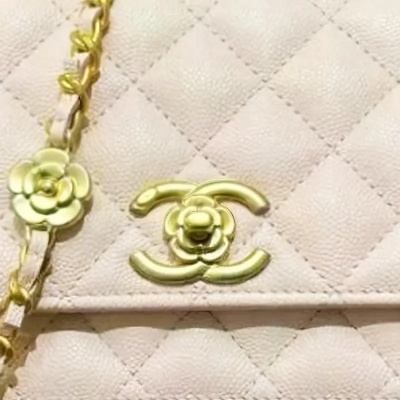CHANEL WOC Grain Embossed Calfskin Wallet, Shoulder Bag, Crossbody Bag Women's Light Pink-1