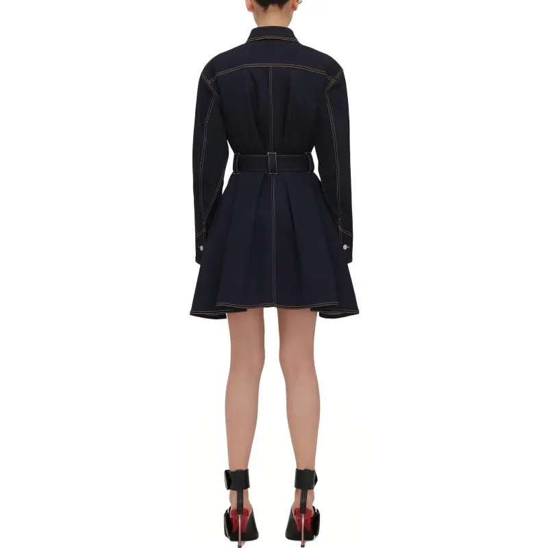 Alexander McQueen Long Sleeved Dress Women's Blue-2