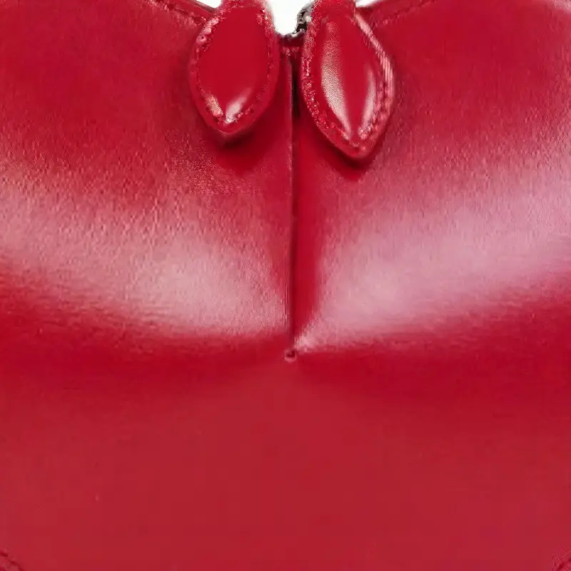 Alaia Le Coeur Heart Shape Crossbody Bag-4