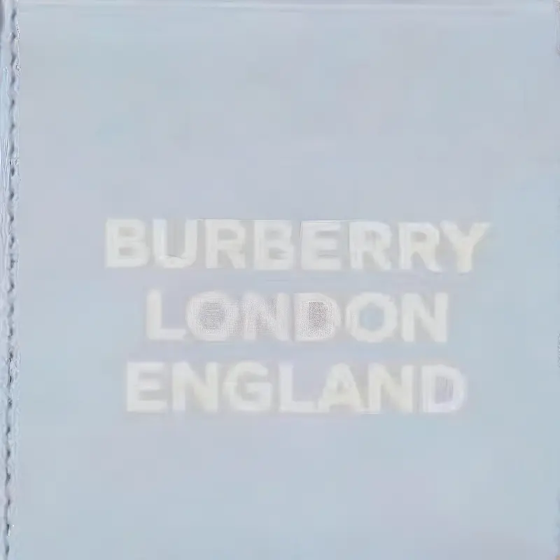 Burberry Card Coin Case 5 Card Slot Light Blue-0