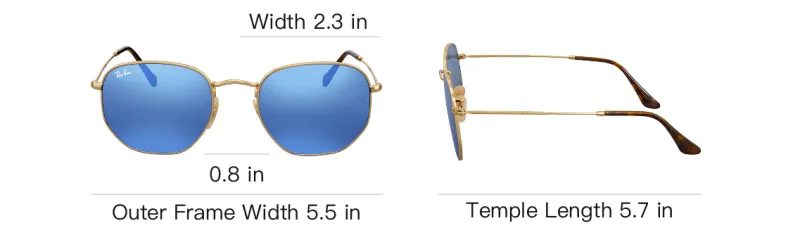 RayBan Hexagonal Sunglasses-3