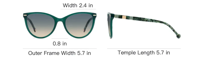 CarolinaHerrera Acetate Irregular Shape Sunglasses Unisex Green-3