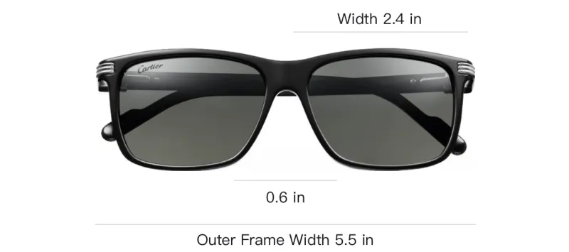 CARTIER Plate And Metal Irregular Shape Sunglasses Unisex Black-3