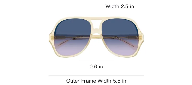 Chloe Acetate Aviator Sunglasses Unisex Gold-2