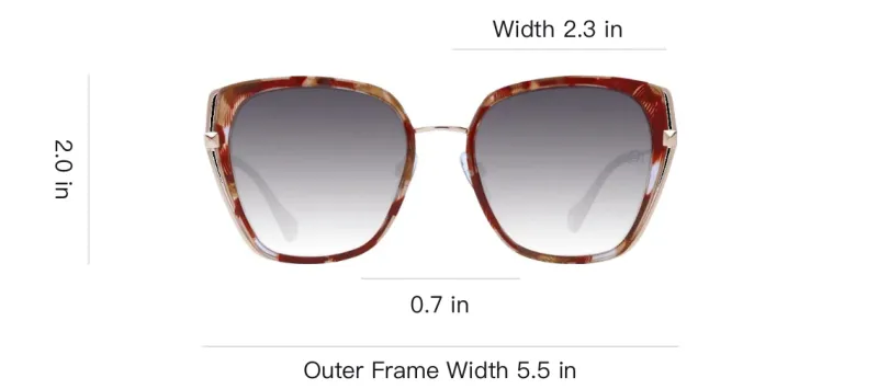 Ana Hickmann Metal Square Sunglasses Women's Red-3