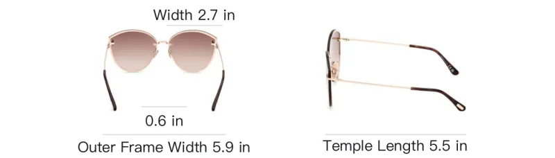 TOM FORD Evangeline Oversized Frame Sunglasses-3