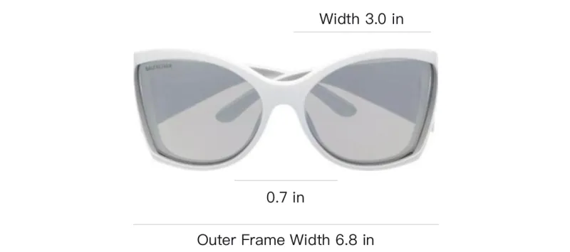 Balenciaga Butterfly Sunglasses Women's Gray-3