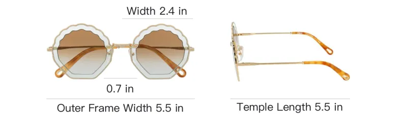 Chloé Sunglasses Unisex Tea Brown Gradient Lens-4