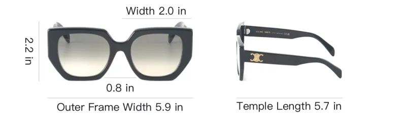 CELINE Diagonal Sunglasses-3