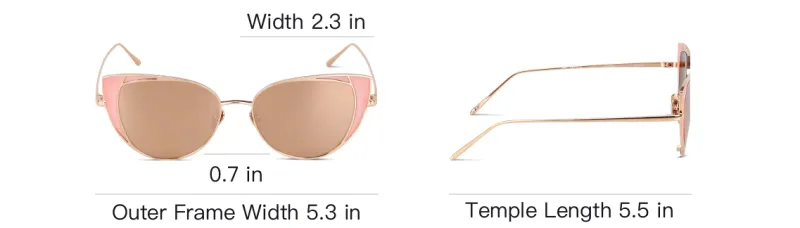 Linda Farrow LFL855 Cat Eye Frame Sunglasses-3