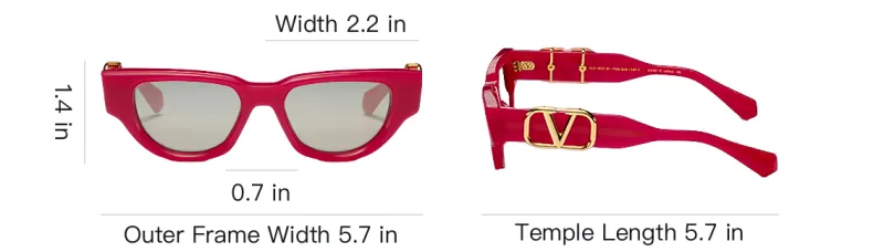 Valentino Cat-Eye Frame Sunglasses-3