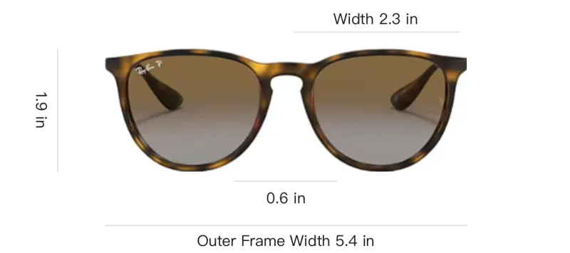 RayBan Erika Sunglasses-3