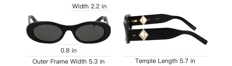 DIOR Acetate Oval Sunglasses Men's Black-3