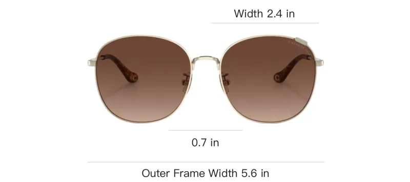 COACH Oval Sunglasses Women's Silver-4