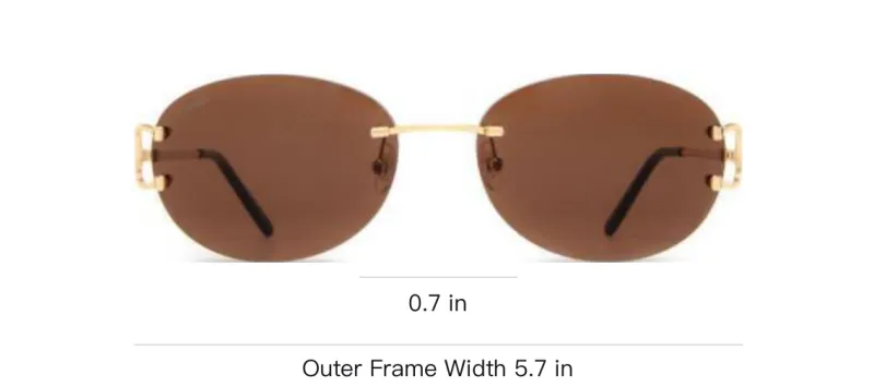 Cartier Logo plaque Oval frame Sunglasses-3