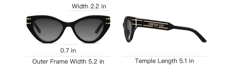 DIOR DIORSignature B7I Butterfly Sunglasses-3