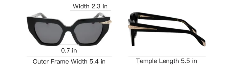 Roberto Cavalli Irregular Shape Sunglasses Unisex Black-4