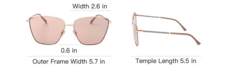 Jimmy Choo Lavi Square Frame Sunglasses-3