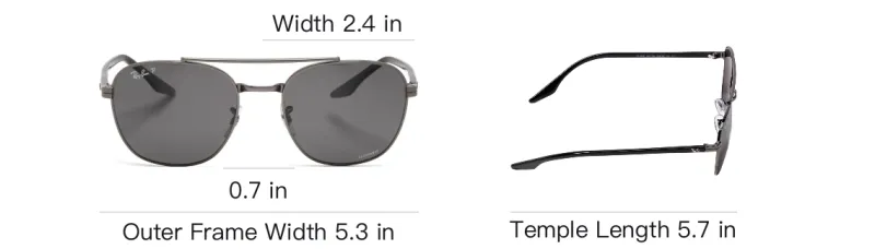 RayBan Round Frame Sunglasses-3