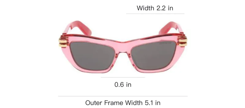 DIOR Butterfly Frame Sunglasses-1