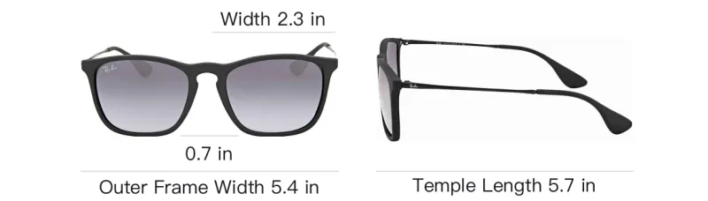 RayBan Nylon Irregular Shape Sunglasses Unisex Black-3