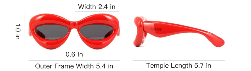 LOEWE Inflated Cat Eye Sunglasses-3