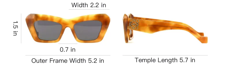 LOEWE Cat Eye Frame Sunglasses-3