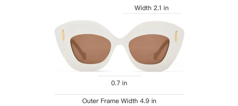LOEWE Cat Eye Frame Sunglasses-3