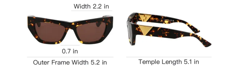 Bottega Veneta Cat Eye Frame Acetate Sunglasses-4