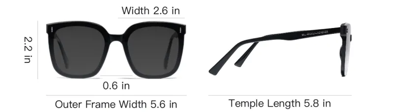 GENTLE MONSTER Frida 01 Oversized Sunglasses-3