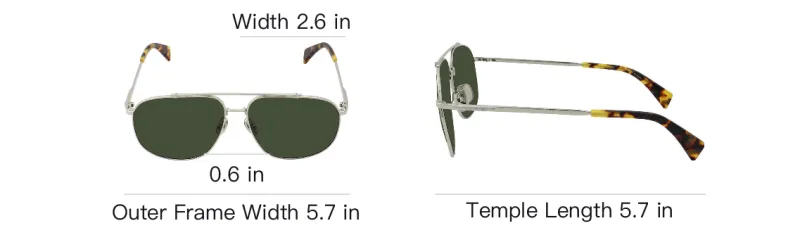 Lanvin The Lanvin 105 Sunglasses-3