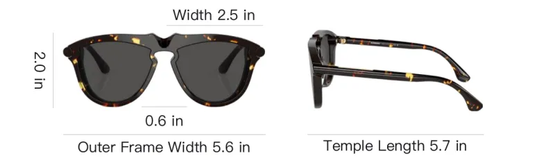 Burberry Aviator Sunglasses-4