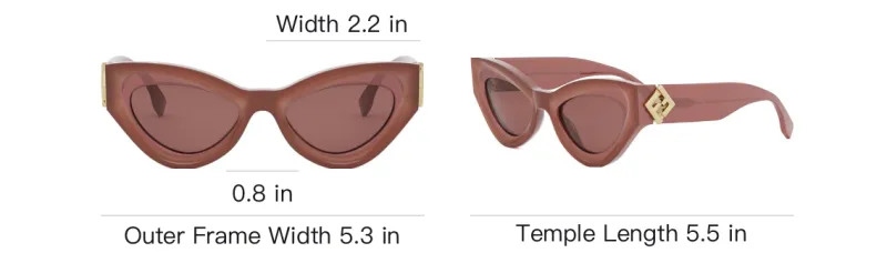 FENDI Cat Eye Frame Sunglasses-3