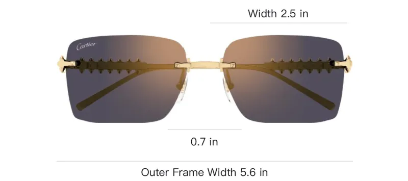 Cartier Rectangle frame Sunglasses-2