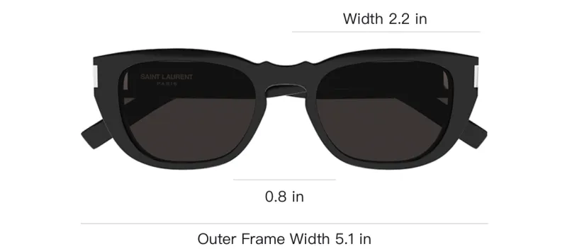SAINT LAURENT Cat-Eye Frame Sunglasses-3