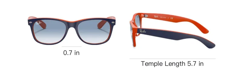 RayBan New Wayfarer Sunglasses-4