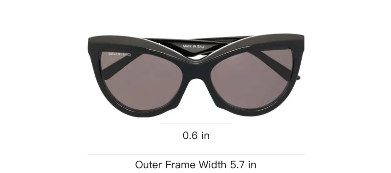 Balenciaga Cat Eye Frame Sunglasses-2