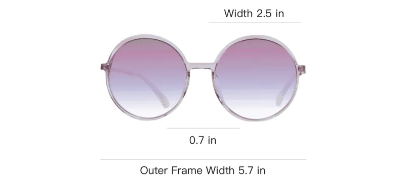 Ana Hickmann Acetate Round Sunglasses Women's Pink-3