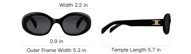 CELINE Triomphe 01 Sunglasses In Acetate-3