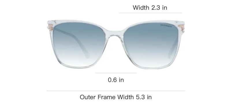 Ana Hickmann Acetate Butterfly Sunglasses Women's Blue-2
