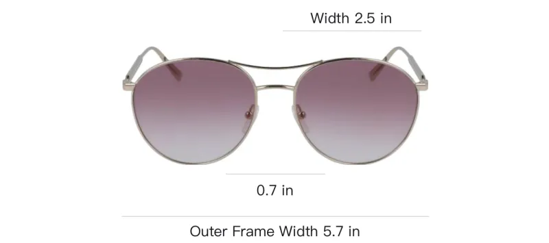 LONGCHAMP Metal Aviator Sunglasses Women's Silver-2