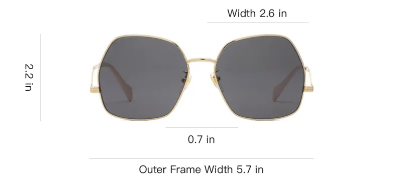 GUCCI Geometric Frame Sunglasses-2