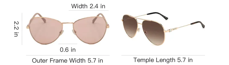 Jimmy Choo Aviator Frame Sunglasses-2