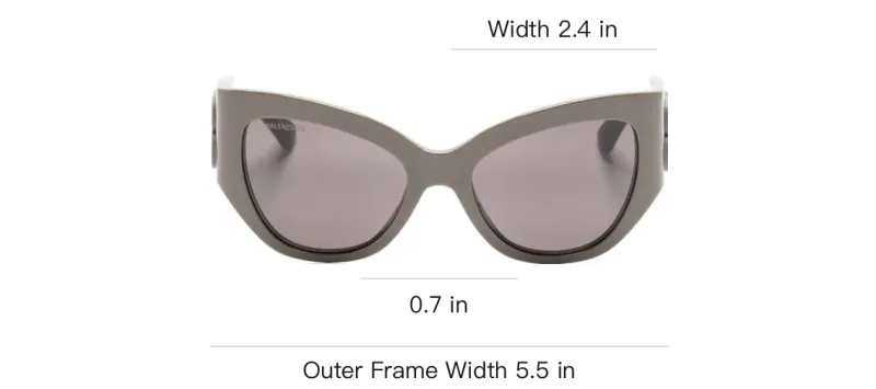 Balenciaga Butterfly frame Sunglasses-3