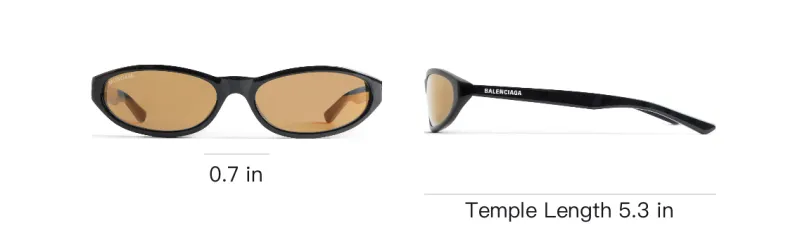 Balenciaga Neo Round Sunglasses-6