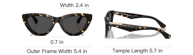 Burberry Cat Eye Sunglasses-4