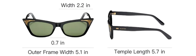 Valentino Cat Eye frame Sunglasses-3