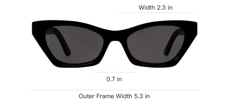 DIOR Cat Eye Sunglasses-3