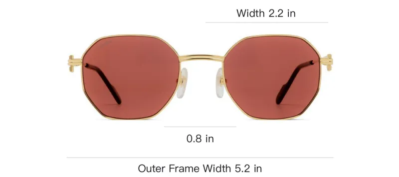 Cartier Hexagonal Frame Sunglasses-3